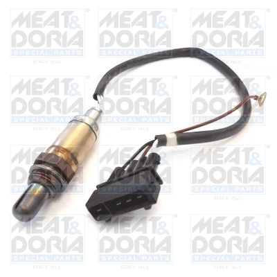 Oxygen Sensor